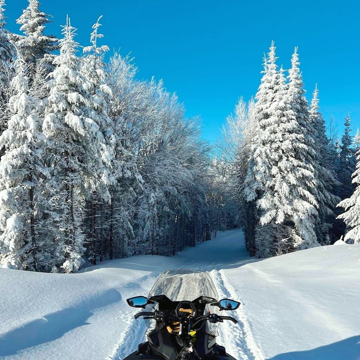Motoneige Ski-Doo en forêt boréale canadienne — raid Canada Mix Parfait LQC Aventures